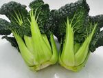 黑青菜 泡泡青