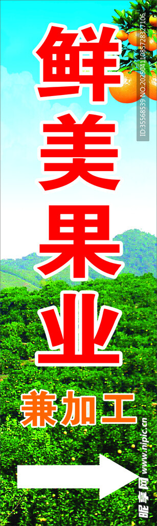 脐橙果业   