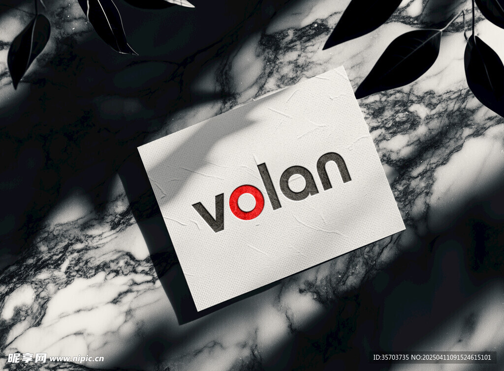 logo图案样机