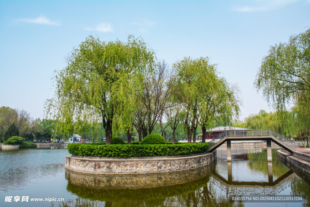 湖心绿岛春景