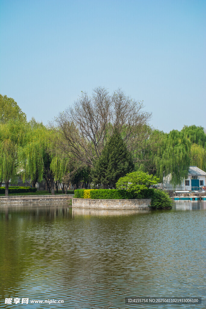 湖心绿岛春景