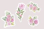 鲜花插画