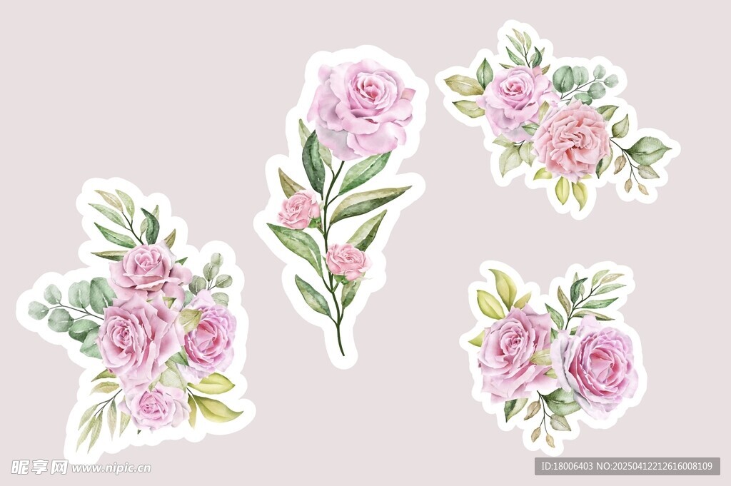 鲜花插画