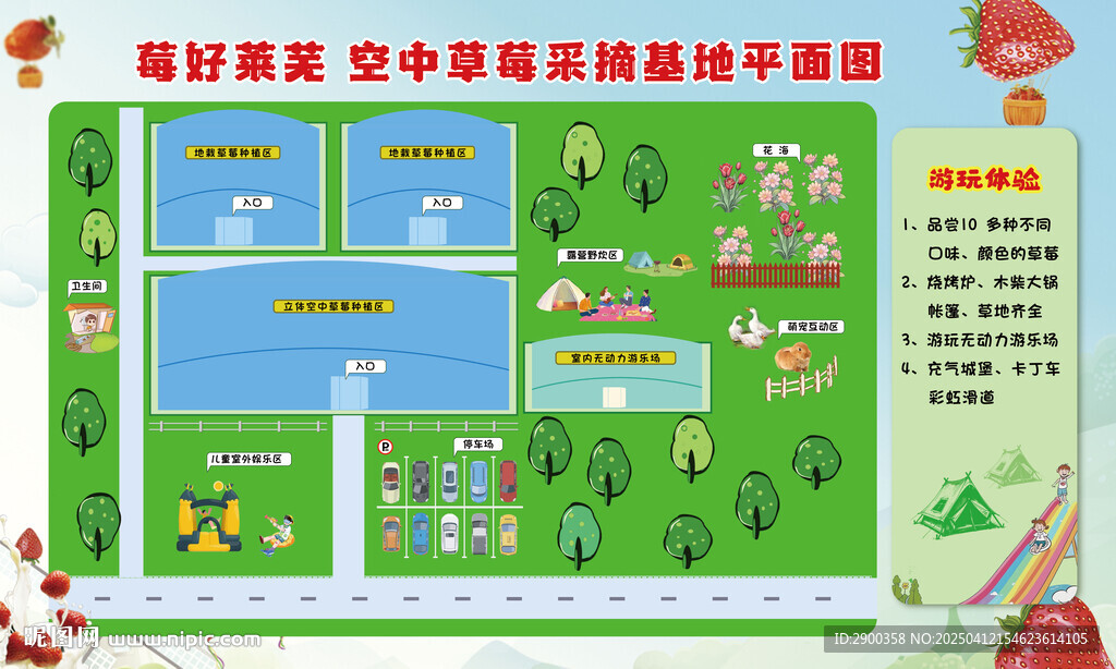 草莓采摘