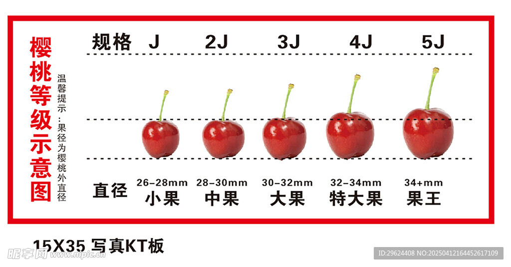樱桃规格表 