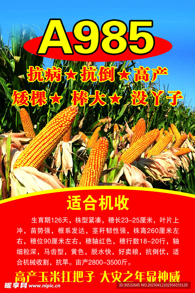 种子海报
