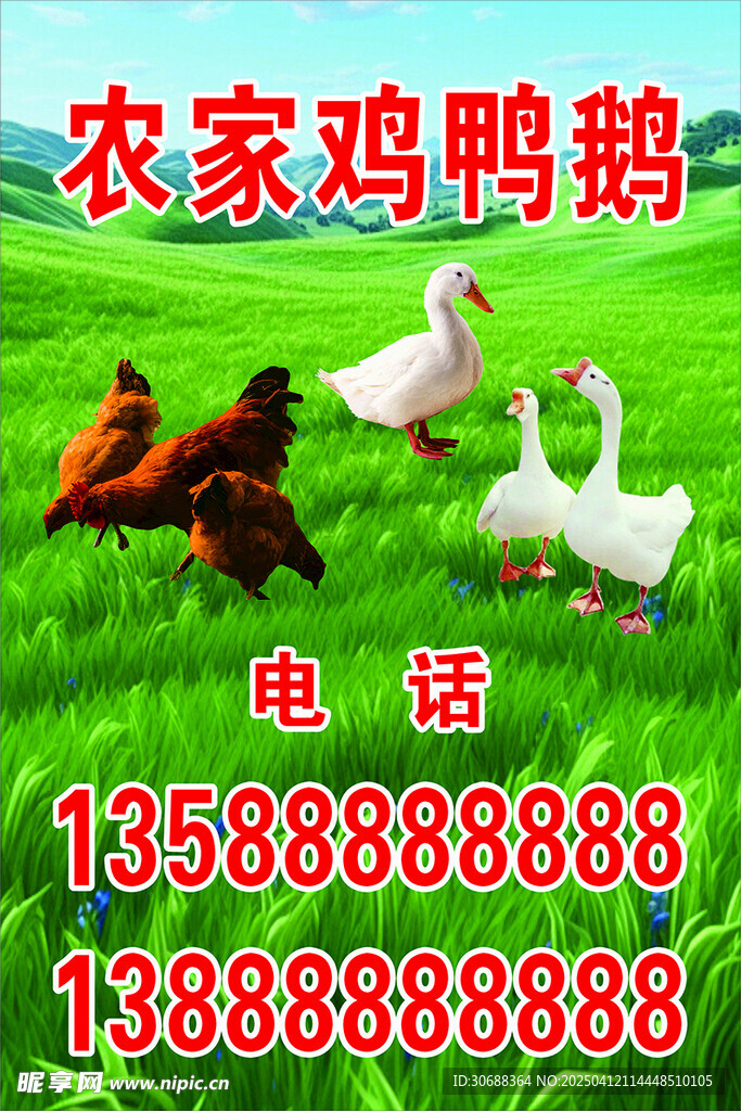 农家鸡鸭鹅牌