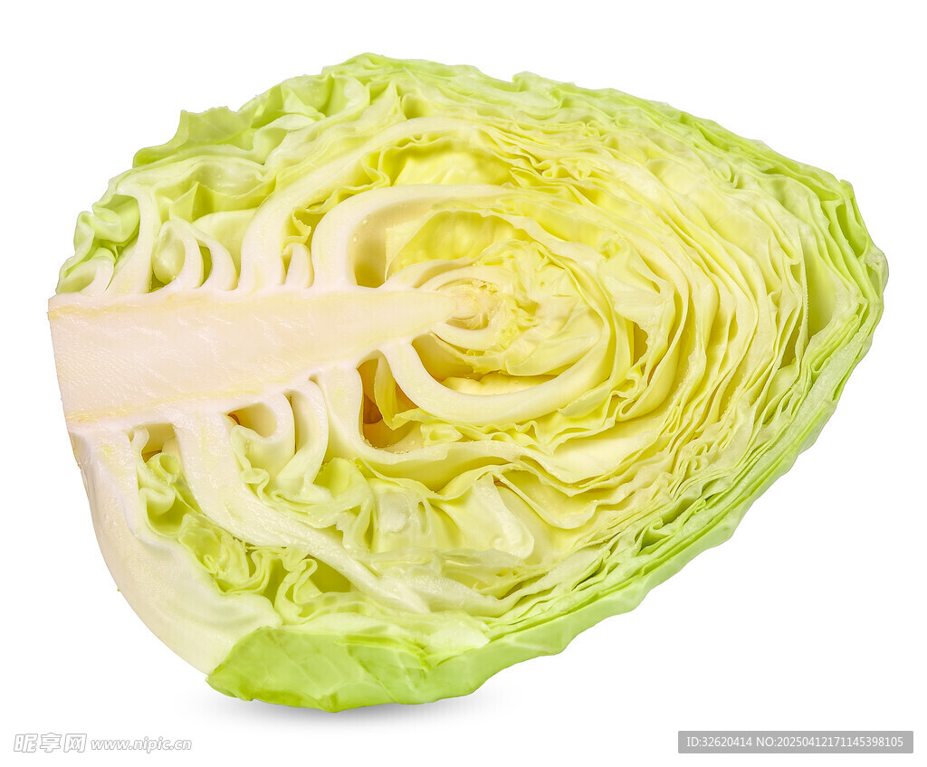 包菜