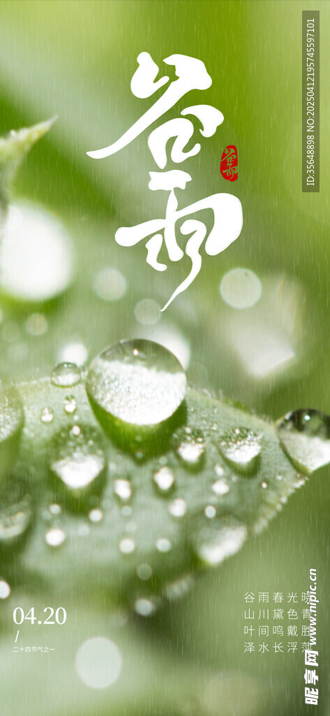 谷雨