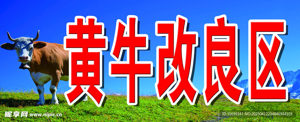 黄牛改良