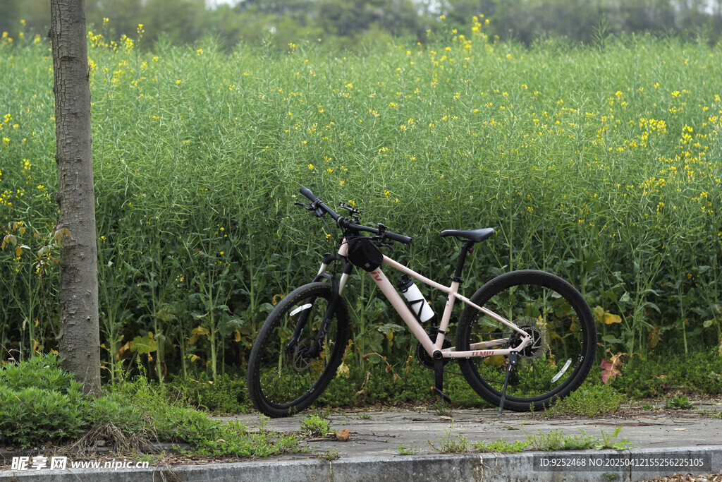 乡村田野 
