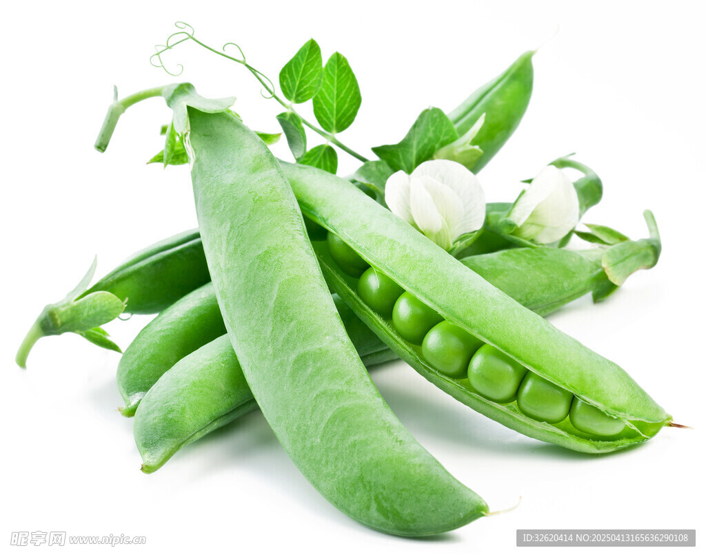 豌豆 甜豆角