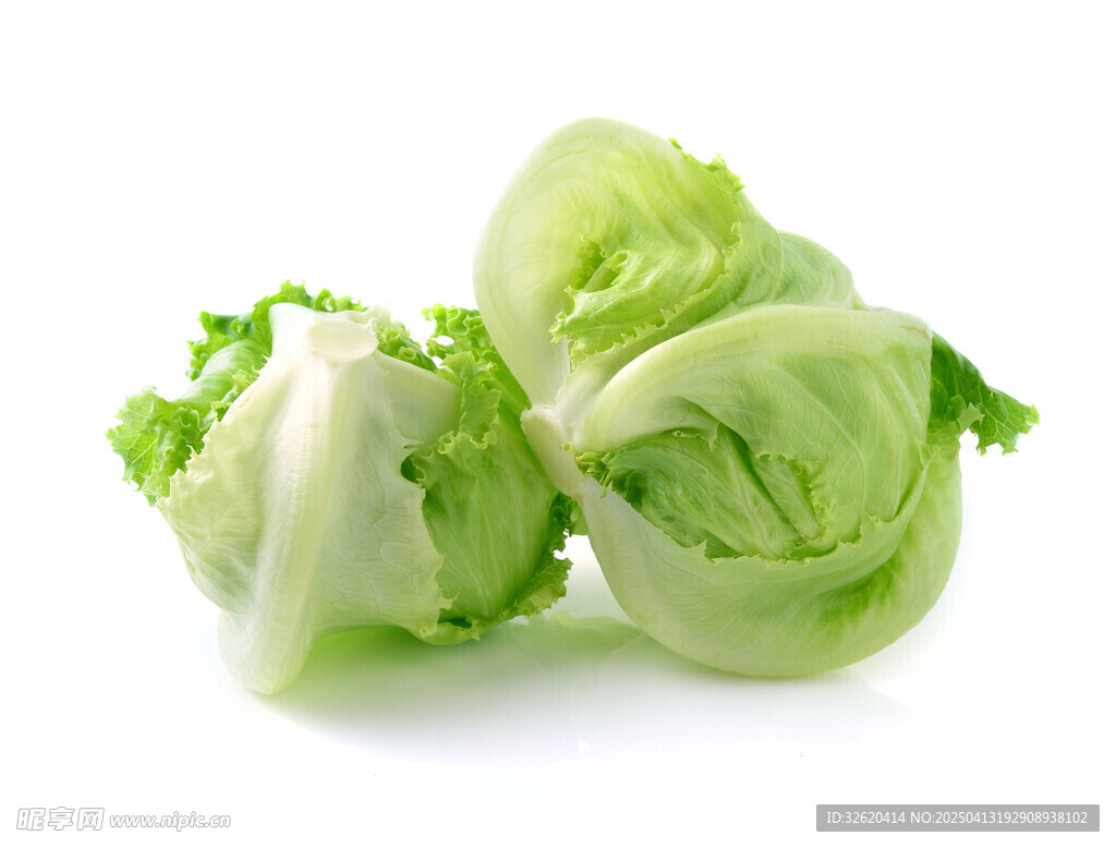 生菜