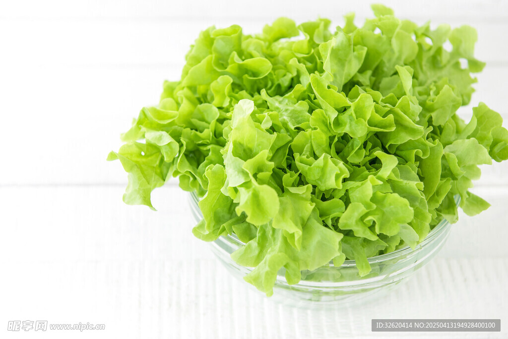 生菜