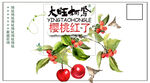樱桃红了
