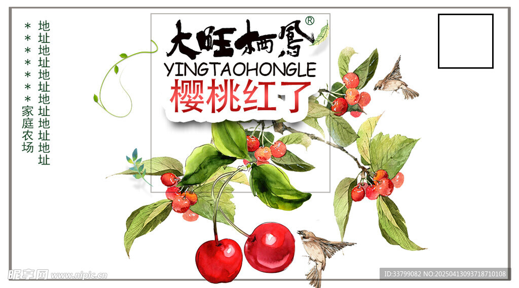 樱桃红了