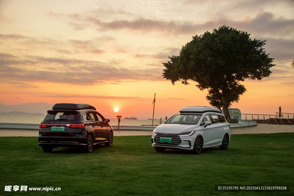 夕阳下双车停于草地树旁