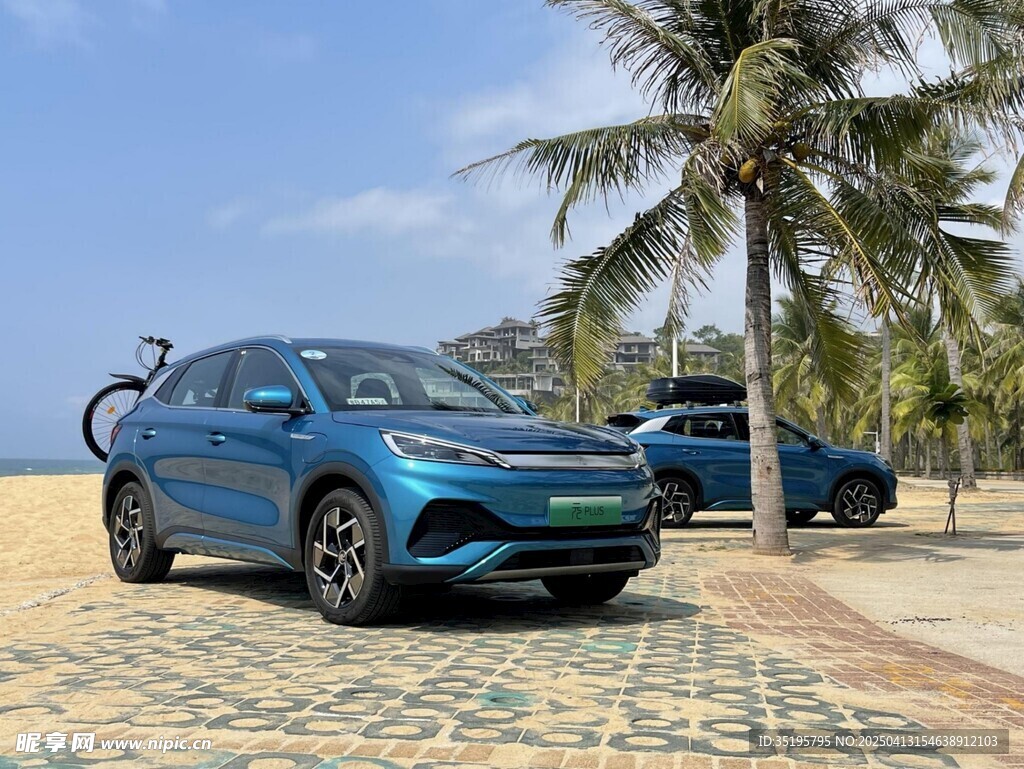 海边椰树下的蓝色轿车