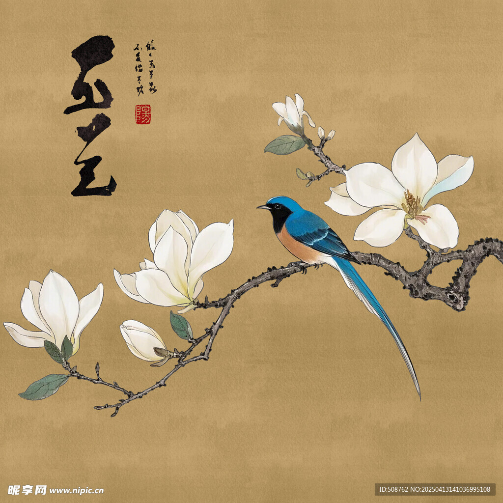玉兰花翠鸟