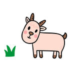 小羊