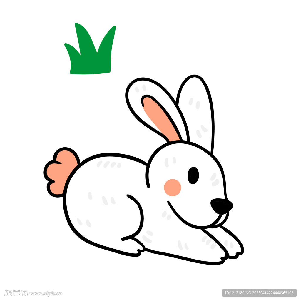 兔子
