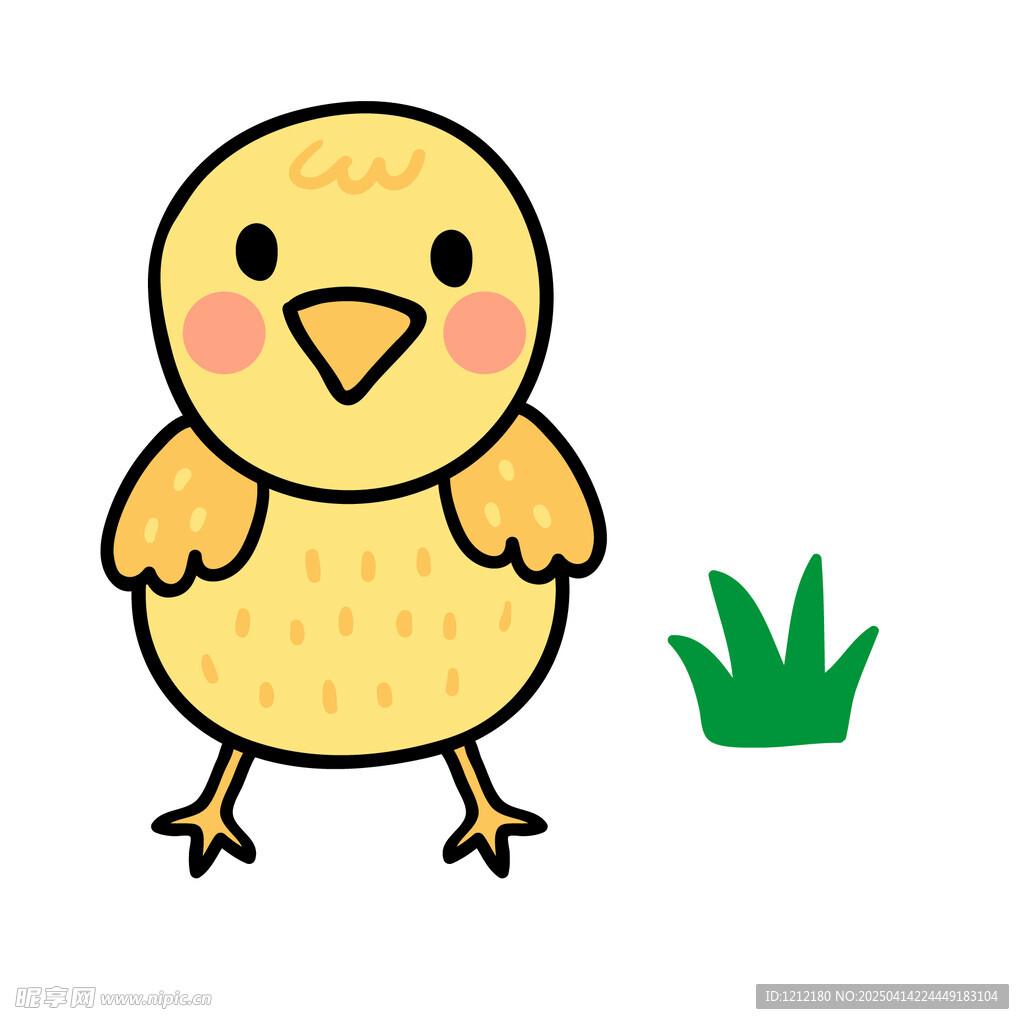 小鸡
