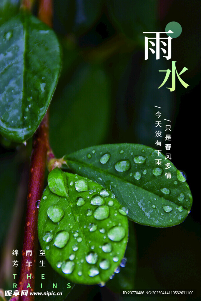 雨水