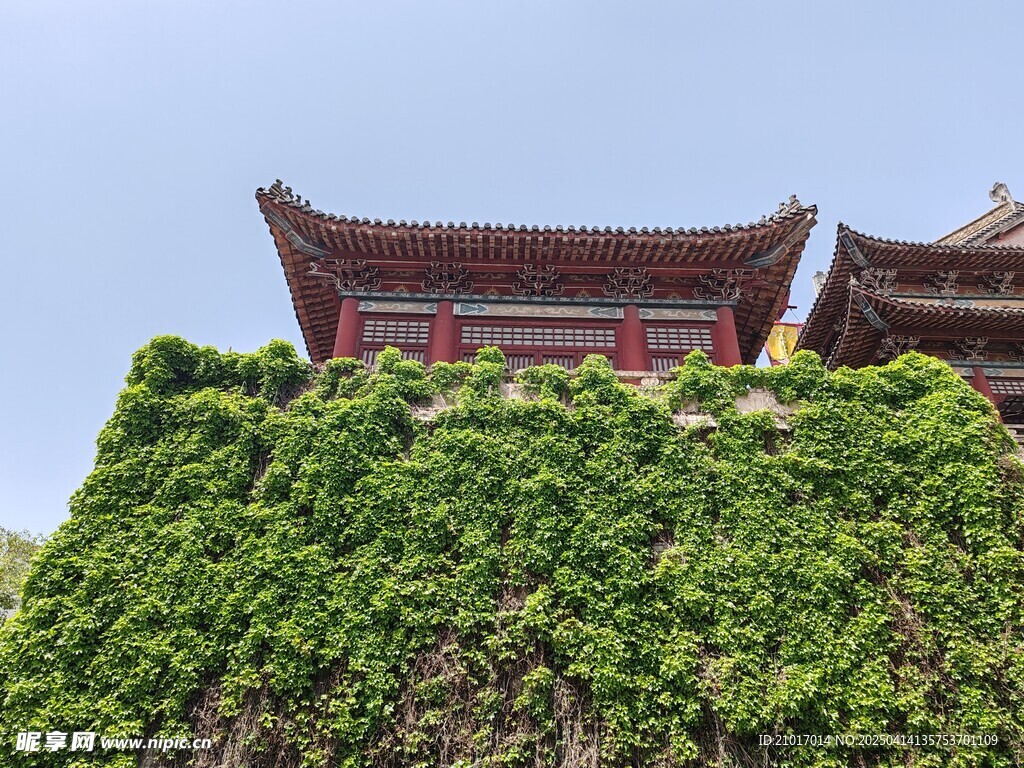城墙绿植