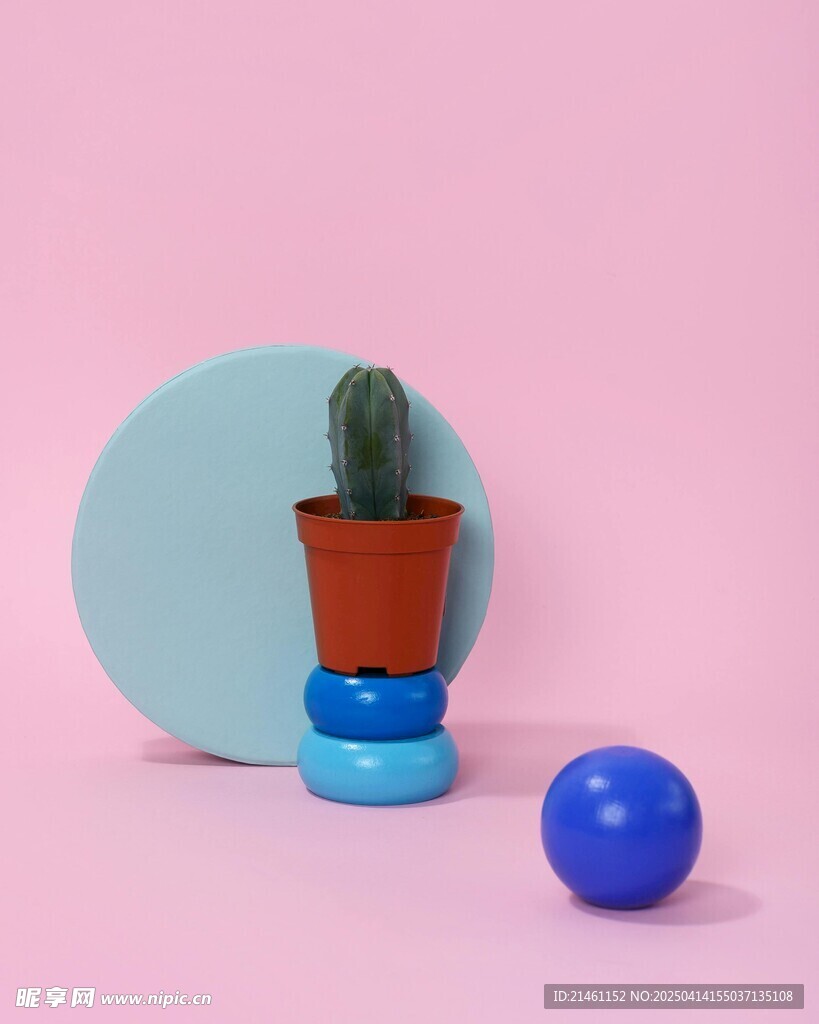 盆栽绿植