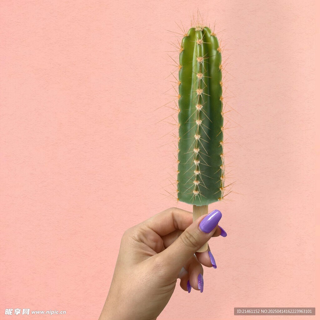 盆栽绿植
