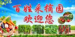 采摘园广告