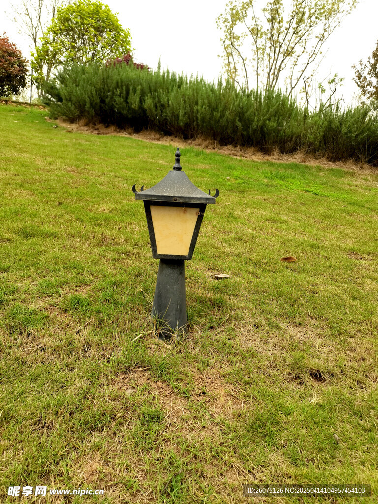 草地路灯