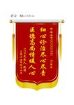 锦旗 医院 医生