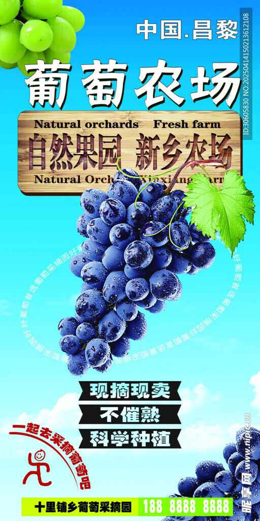 葡萄农场展板