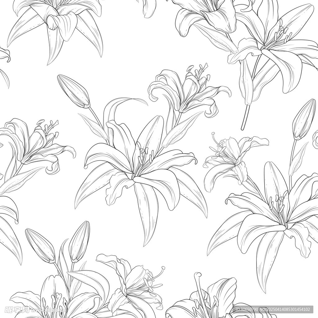 花朵线稿底纹