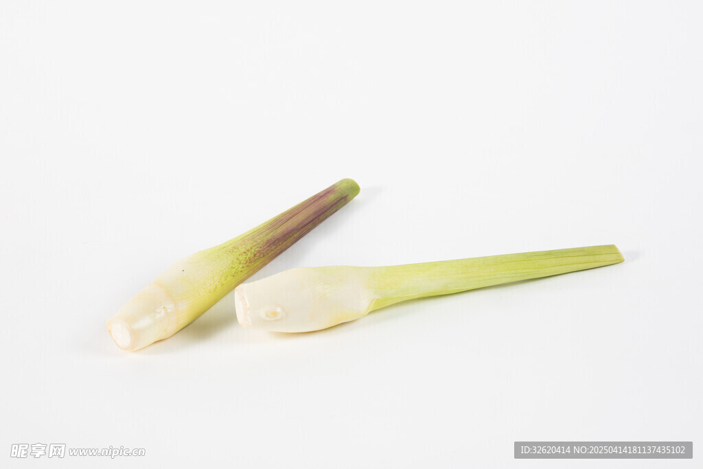 菱白
