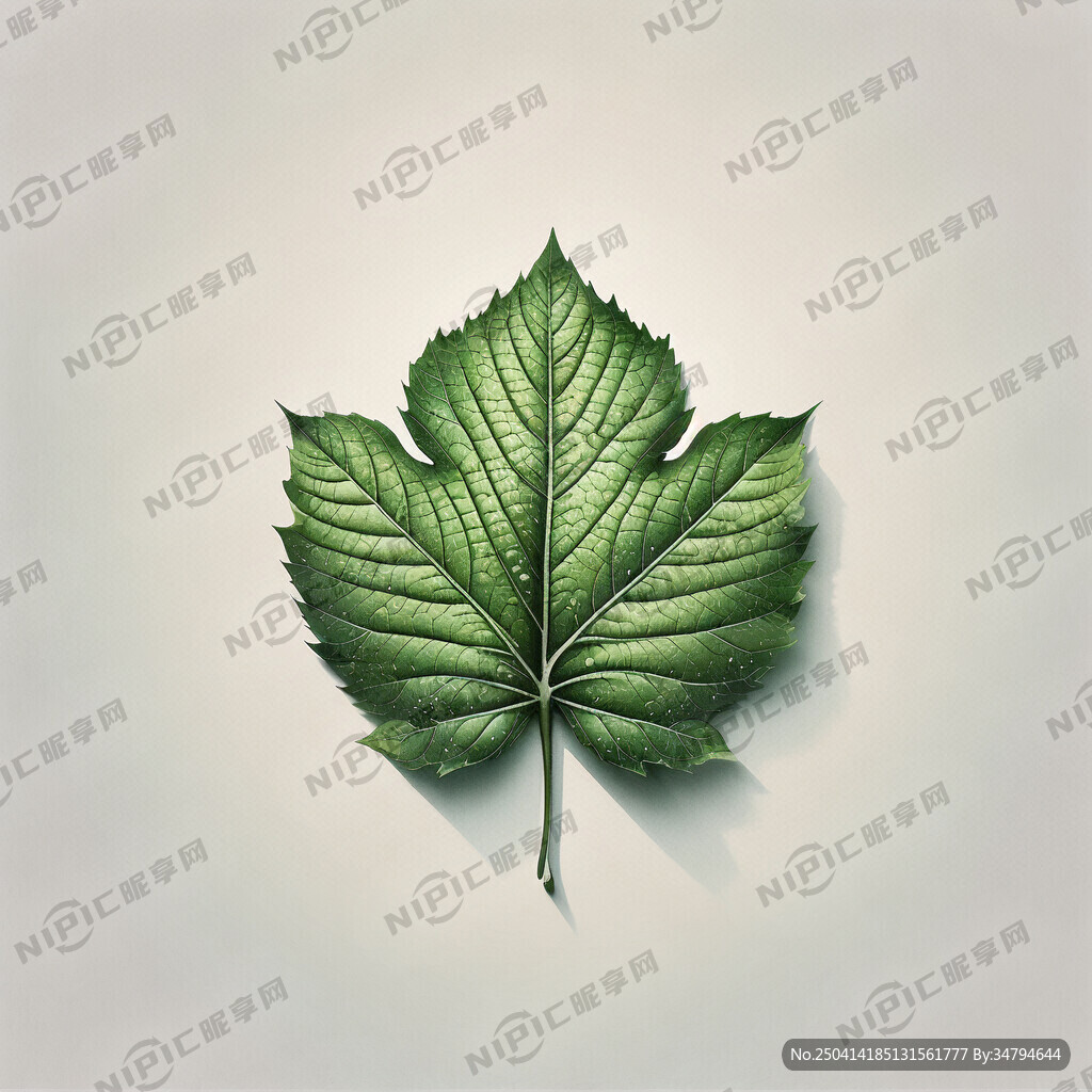 叶子变成的画笔 只需要图标