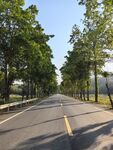 公路