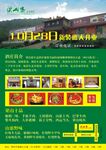 饭店开业宣传
