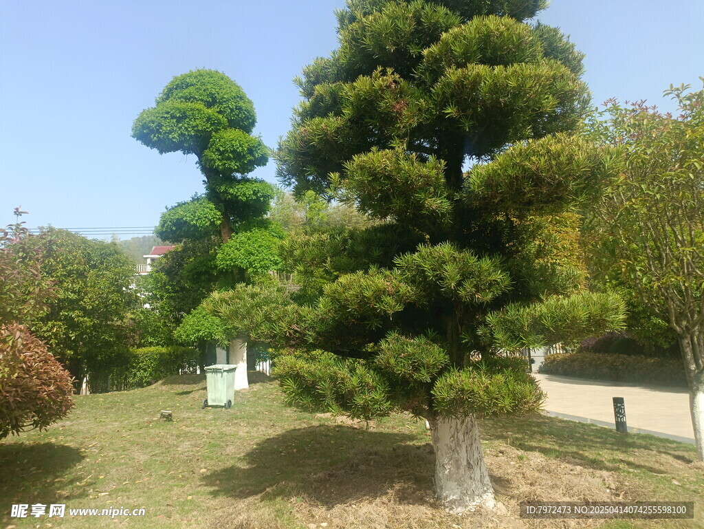 园林绿化