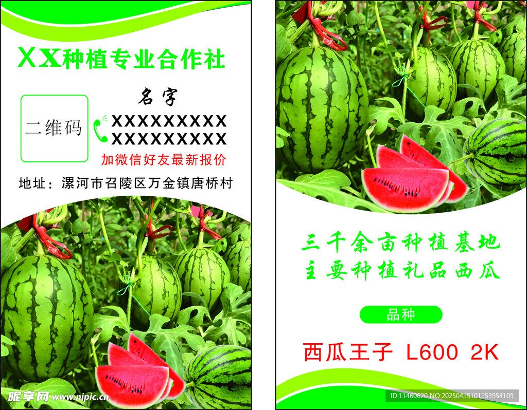 西瓜名片