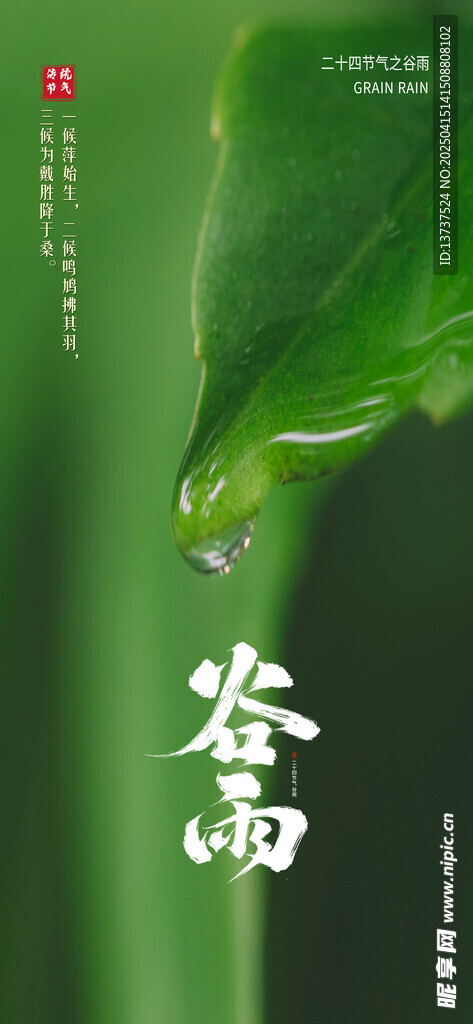 谷雨