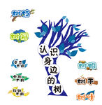 认识身边的树 小学 板书