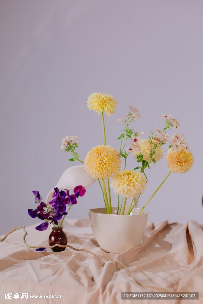 大丽花
