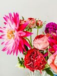 大丽花