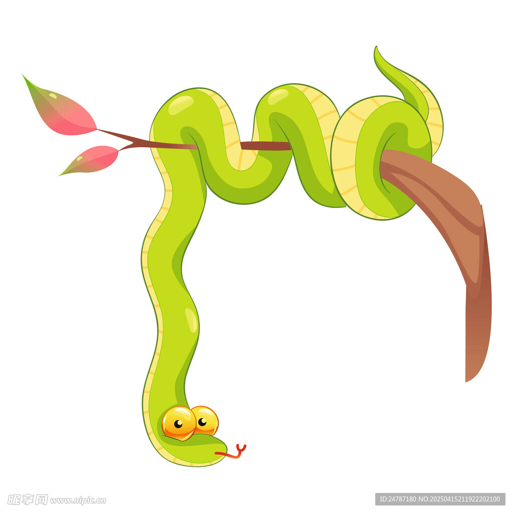 小蛇