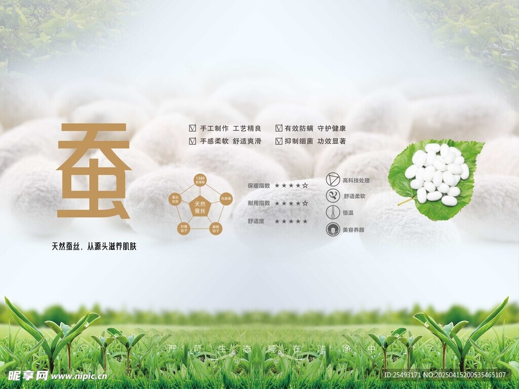 蚕丝被蚕丝家纺