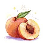 黄桃插画