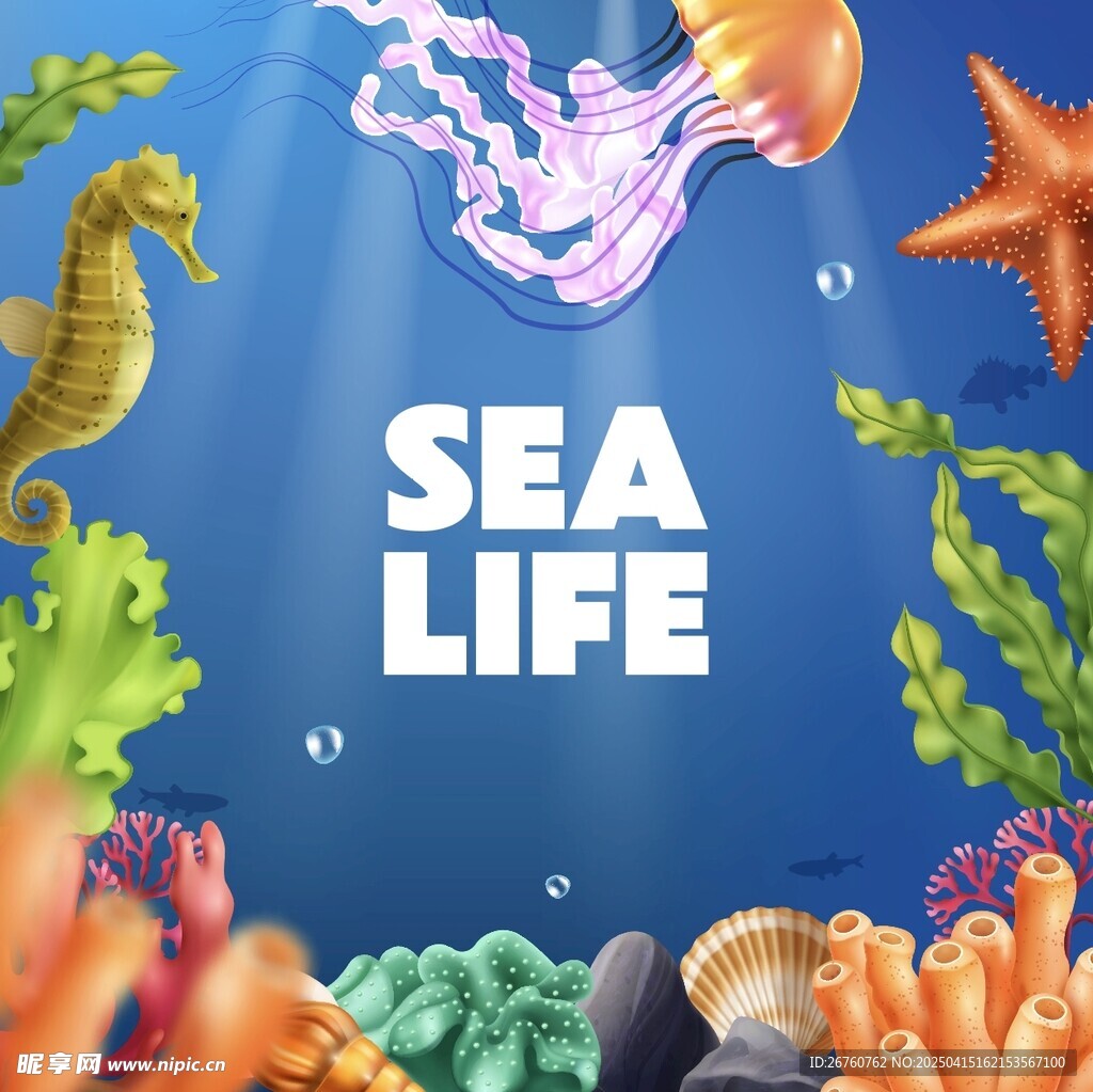 海洋生物