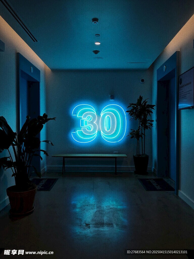 数字30